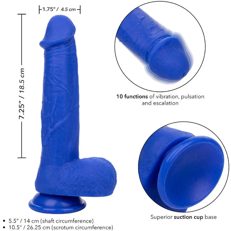 CALEXOTICS - ADMIRAL VIBRATEUR GODE RÉALISTE CAPTAIN BLEU - Incandessens