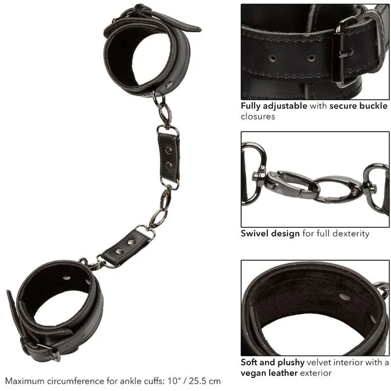 CALEXOTICS - EUPHORIA MANCHETTES DE CHEVILLE - Incandessens
