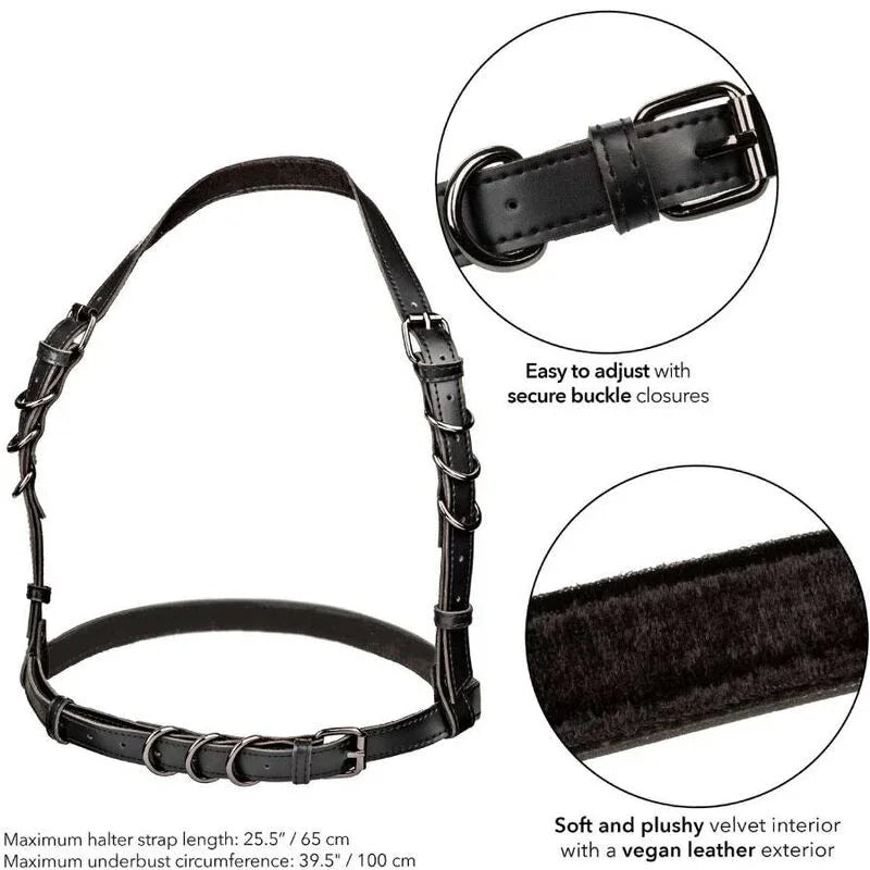 CALEXOTICS - EUPHORIA HARNAIS BOUCLE LICOL NOIR - Incandessens