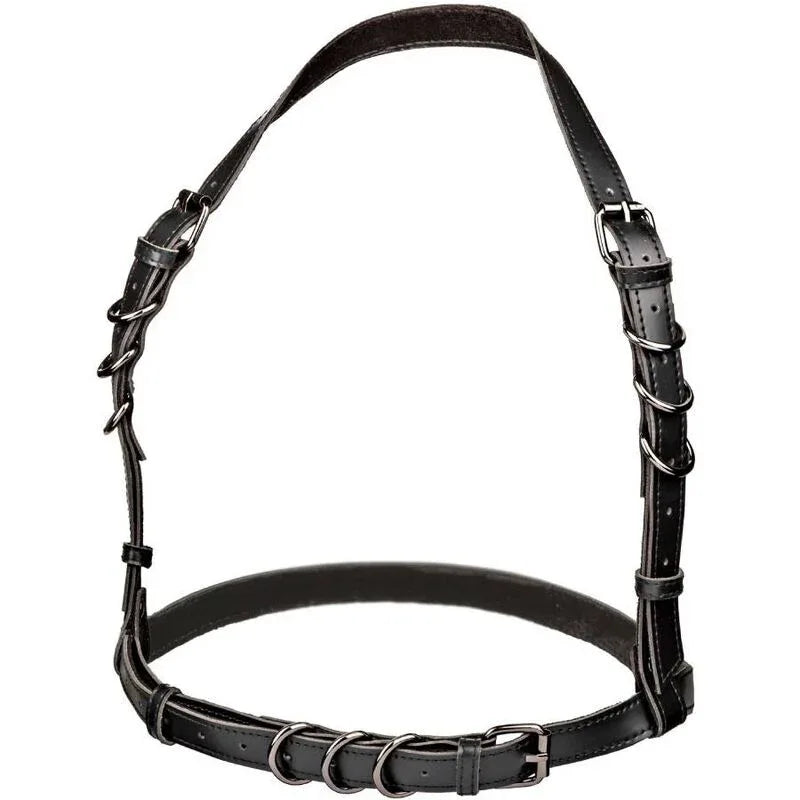 CALEXOTICS - EUPHORIA HARNAIS BOUCLE LICOL NOIR - Incandessens