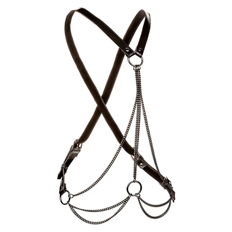 CALEXOTICS - EUPHORIA HARNAIS MULTICHAÎNE PREMIUM GRANDE TAILLE - Incandessens