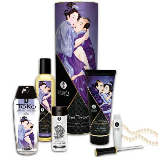 SHUNGA - KIT MASSAGE PLAISIRS CHARNELS