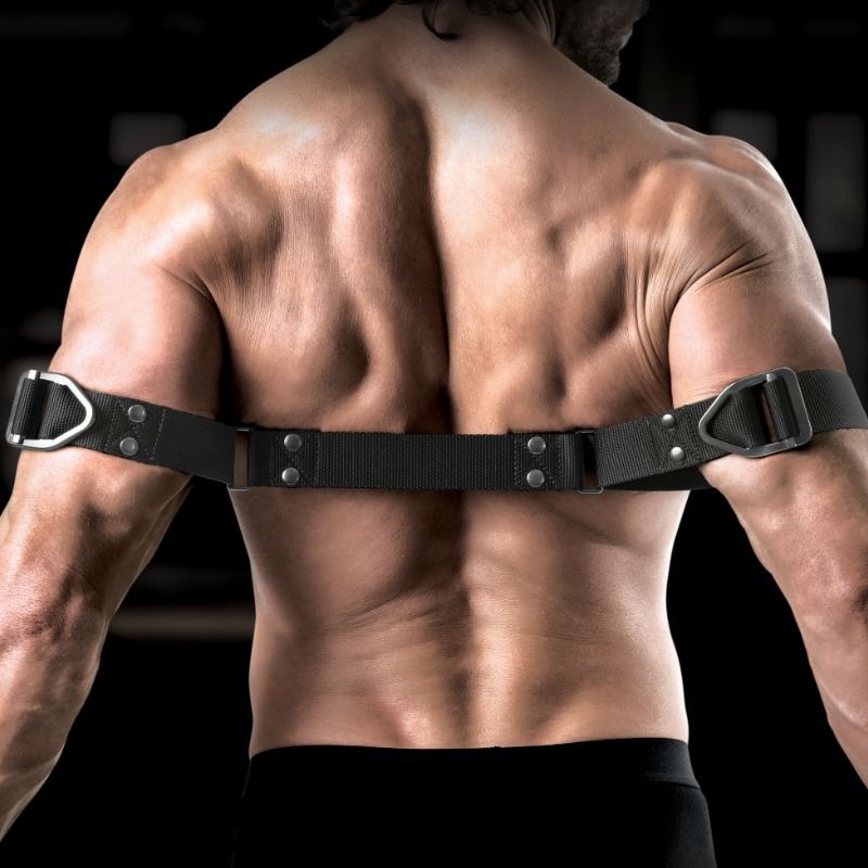 SIR RICHARDS - CONTRAINTES ROBUSTES POUR BICEPS COMMAND