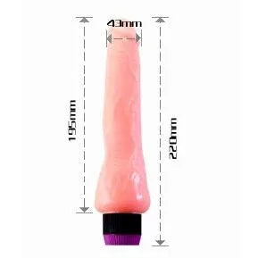 BAILE - VIBRATEUR RÉALISTE 19.5 CM - Incandessens